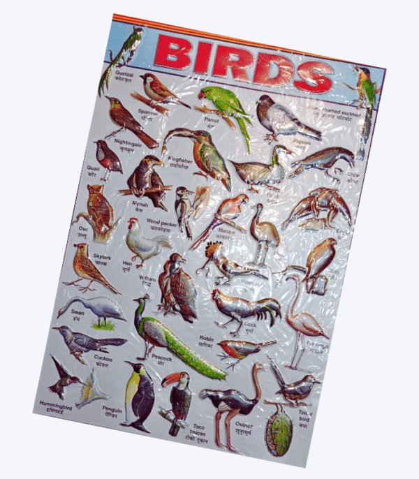 3D Chart - Birds